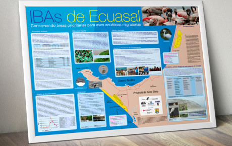 IBAs de Ecuasal – Póster